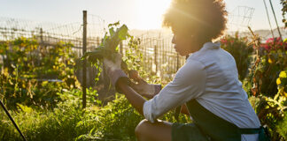 June2019-National Gardening Exercise Day