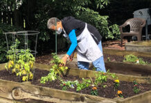 Volunteer planting a vegetable garden