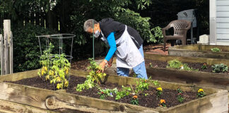 Volunteer planting a vegetable garden