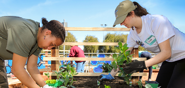 Two women planting vegetables