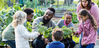 Un groupe d'enfants en train de jardiner