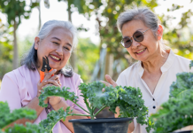 Getting started with Foresters Care Two women planting kale