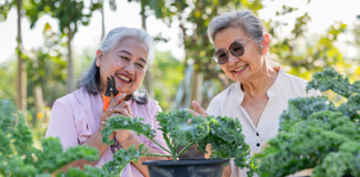 Two women planting kale