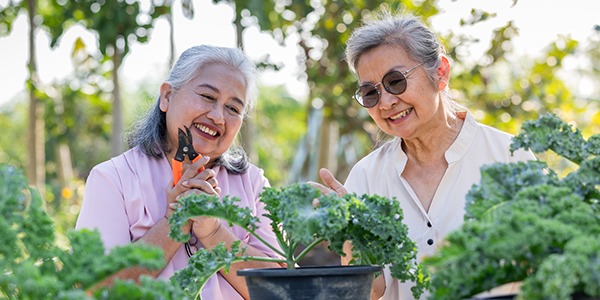 Two women planting kale